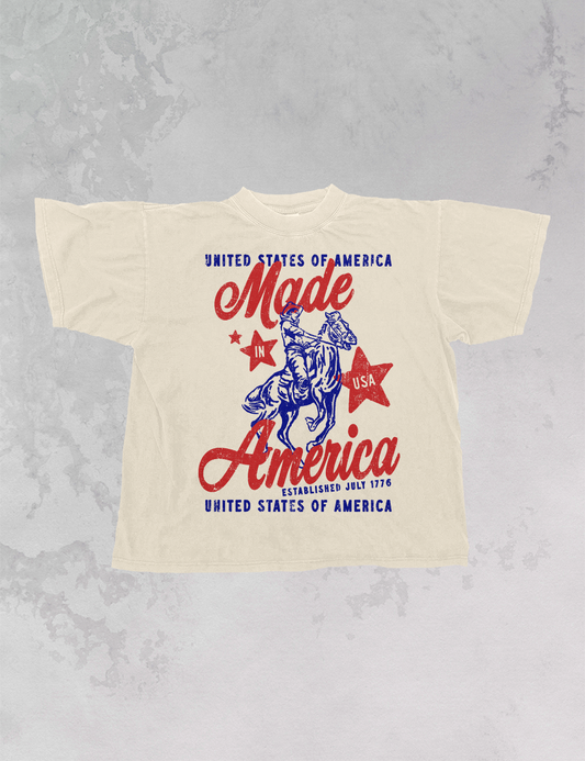 Made In America Graphic